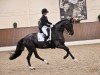 dressage horse So Dark (Hanoverian, 2007, from San Remo)