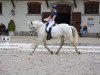 Dressurpferd Eleito Lakeland CH (Lusitano, 2009, von Uxaque)