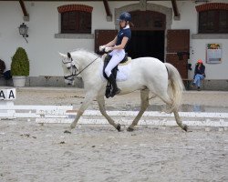 dressage horse Eleito Lakeland CH (Lusitano, 2009, from Uxaque)