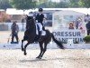 dressage horse Zack Zack VS (Oldenburg, 2008, from Zack)