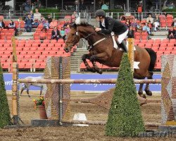 Pferd Pick Me Nzph (Neuseeländisches Warmblut, 2002, von Rox de la Touche)