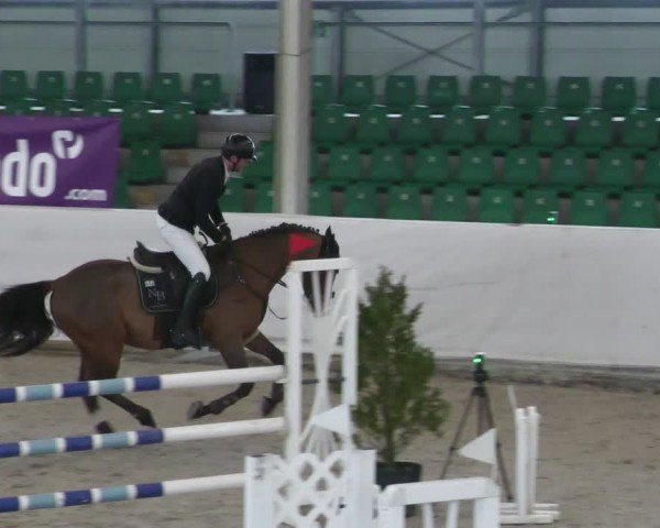 Reitturnier Zweibrücken - Halle 2025