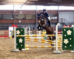 jumper Carlson 121 (Oldenburg show jumper, 2010, from Conthargos)