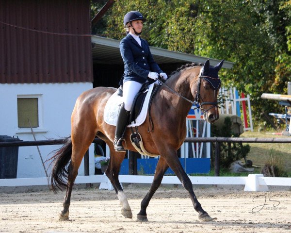dressage horse Frizzante 6 (Hanoverian, 2010, from For Compliment)