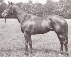 stallion Silent Hunter xx (Thoroughbred, 1971, from Gun Shot xx)