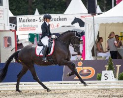 dressage horse Salvana's Helena (Trakehner, 2018, from Helium)