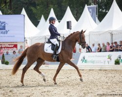 dressage horse Escala Gold (Oldenburg, 2018, from Belissimo NRW)