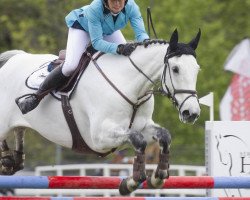 jumper Turn It Blue Nzph (New Zealand Warmblood, 2006, from Mr Blue)