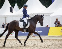 dressage horse Donauspiel G (Trakehner, 2018, from E.H. Millennium)