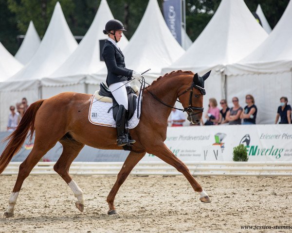 dressage horse Descadero R (German Sport Horse, 2018, from Destacado FRH)