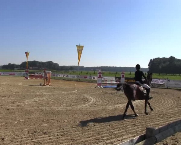 Reitstall Brinkmann 2013