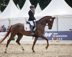 dressage horse Vanilla Sky 43 (German Sport Horse, 2018, from Vitalis)