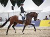 dressage horse So Dynamic (Hanoverian, 2018, from Secret)