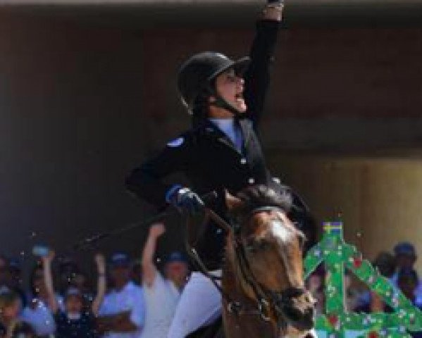 broodmare Quessada de La Roque (Selle Français, 2004, from Kannan)