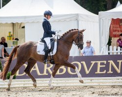 dressage horse Baileys on Ice 5 (Westphalian, 2018, from Callaho's Benicio)