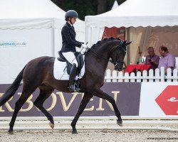 dressage horse Moonlight 423 (Hanoverian, 2018, from E.H. Millennium)