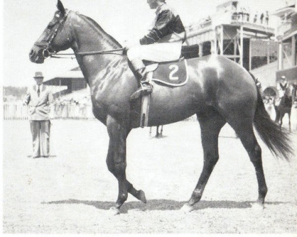 stallion Second Earl xx (Thoroughbred, 1955, from Tembu xx)