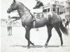 stallion Second Earl xx (Thoroughbred, 1955, from Tembu xx)