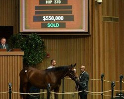 horse Hengst von Medaglia d´Oro xx (Thoroughbred, 2018, from Medaglia d'Oro xx)