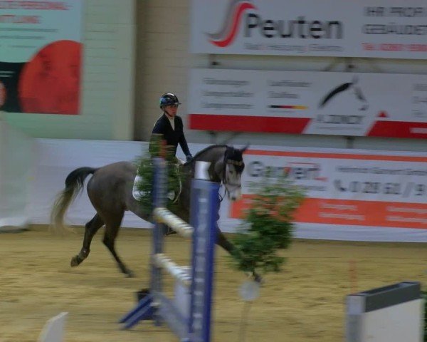 Reitturnier Borken 2025