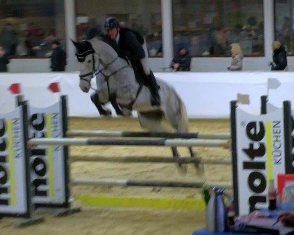 Reitturnier Borken 2025