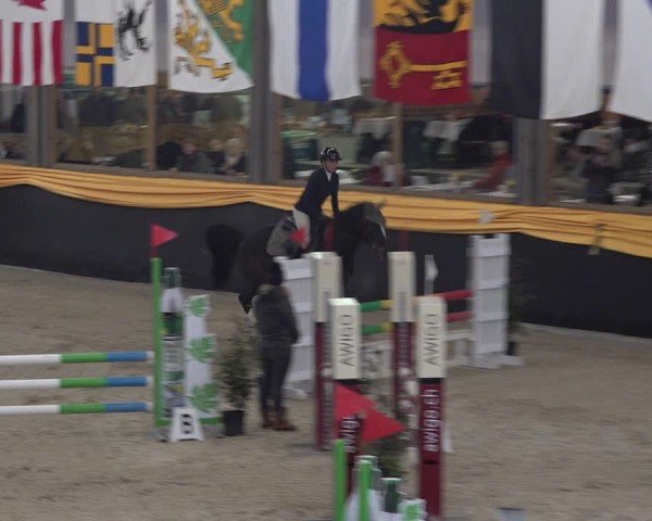 Reitturnier Erlen 2025