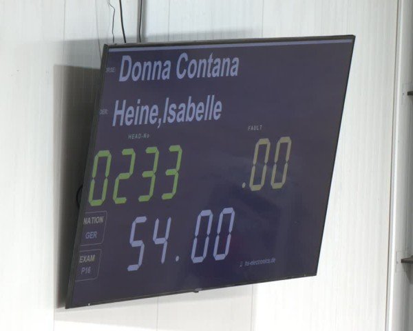 Reitturnier Borken (Hessen) 2025