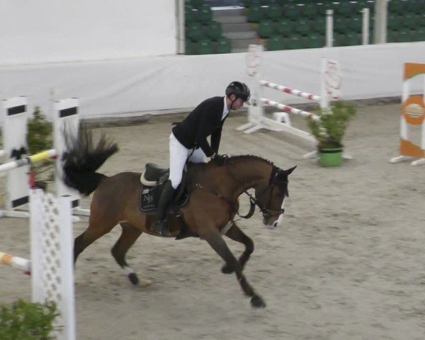 Reitturnier Zweibrücken - Halle 2025