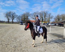 dressage horse Nadera F. (German Riding Pony, 2019)