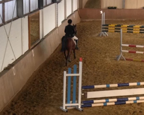 Reitstall Brinkmann 2013