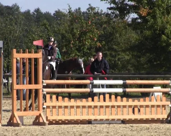 Reitstall Brinkmann 2013
