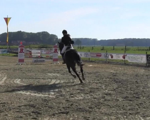 Reitstall Brinkmann 2013