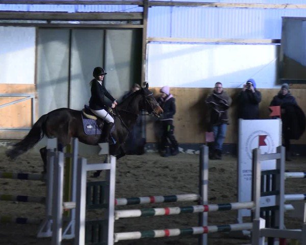 Reitturnier Datteln 2025