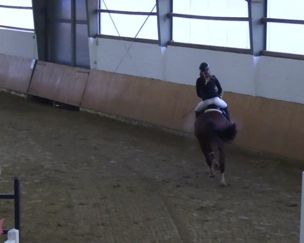 Reitturnier Datteln 2025