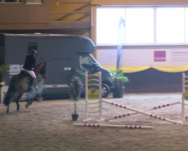 Reitturnier Sauldorf-Boll 2025