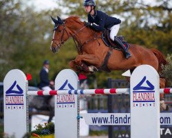 jumper Janice (Belgian Warmblood, 2009, from Udarco van Overis)