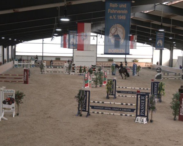 Reitturnier Borken (Hessen) 2025