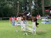 jumper Formidable Z (Zangersheide riding horse, 2015, from For Pleasure)