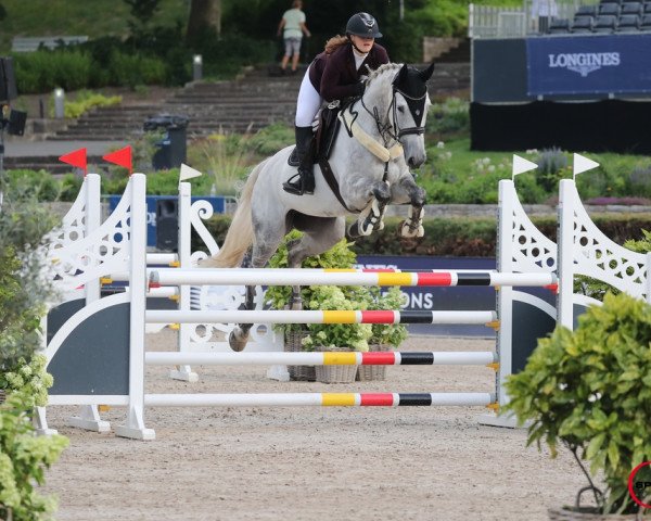jumper Unikum Take It (Hanoverian, 2012, from Uccello)
