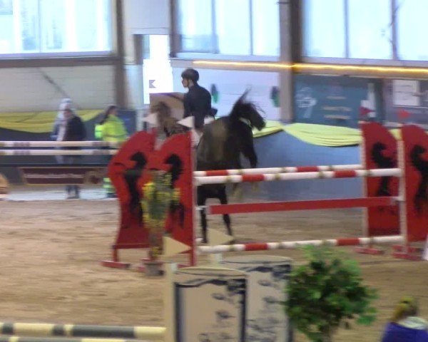 Reitturnier Sauldorf-Boll 2025