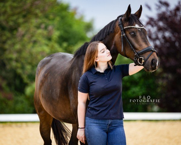 dressage horse Feine Maid vom Schmiedehof (Westphalian, 2020)