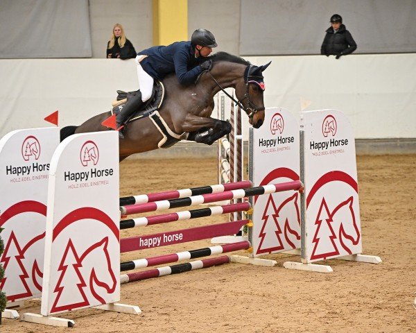 jumper Quintano Z (Zangersheide riding horse, 2019, from Qatar Z)