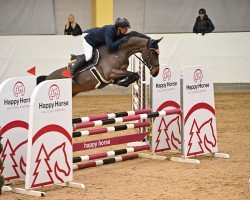 jumper Quintano Z (Zangersheide riding horse, 2019, from Qatar Z)