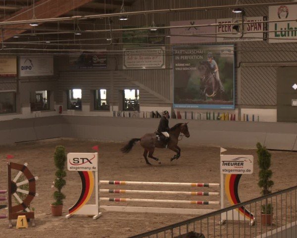 Reitturnier AZL Luhmühlen 2025