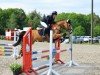 jumper Catinka 41 (German Riding Pony, 2019, from Heitholms Dempsey)