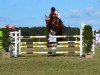 jumper Kannan Boy (Oldenburg show jumper, 2006, from Kannan)