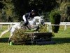 jumper Kilcogy Dawn (Connemara Pony, 2008, from Emoe Berti)