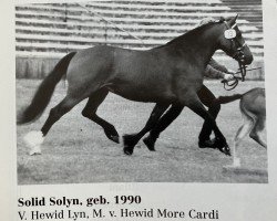 broodmare Solid Solyn -P- (Welsh-Cob (Sek. D), 1990, from Hewid Lyn)