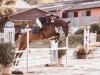 jumper Baleska 3 (Oldenburg show jumper, 2012, from Balou du Rouet)