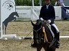 dressage horse Bella 906 (Pony without race description, 2006)